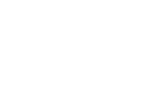 AutoResQ